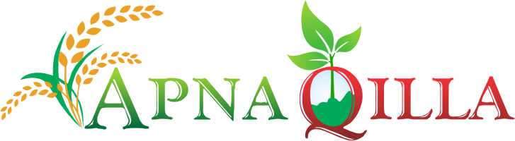 Apna Qilla