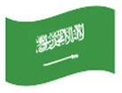 Saudi-Arabia